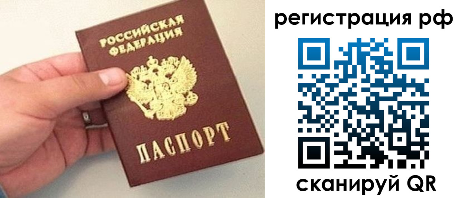 прописка законно в Рязани